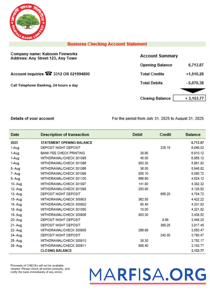 Realistic Rupali company checking account statement Word and PDF template